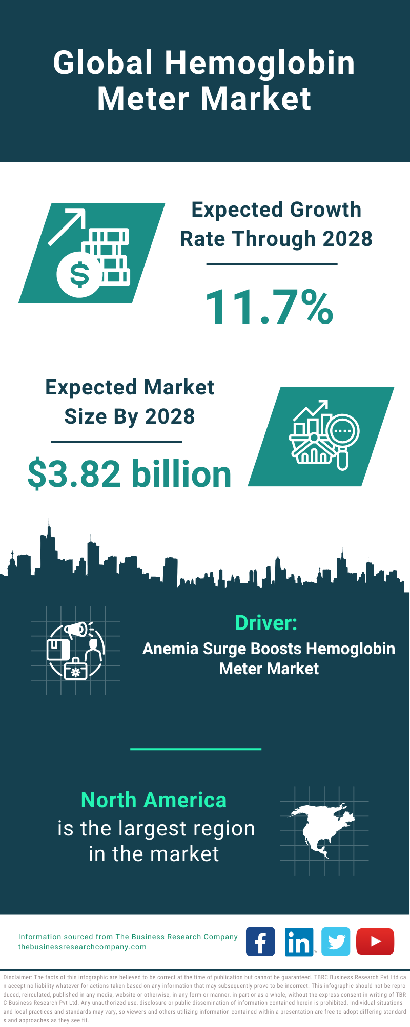 Global Hemoglobin Meter Market Infographic