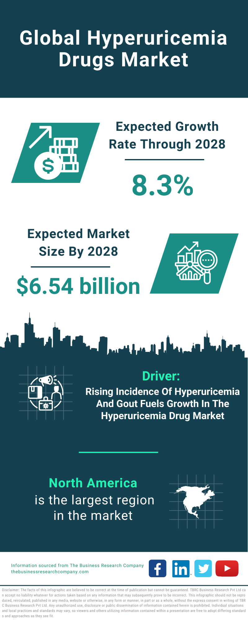 Global Hyperuricemia Drugs Market Infographic