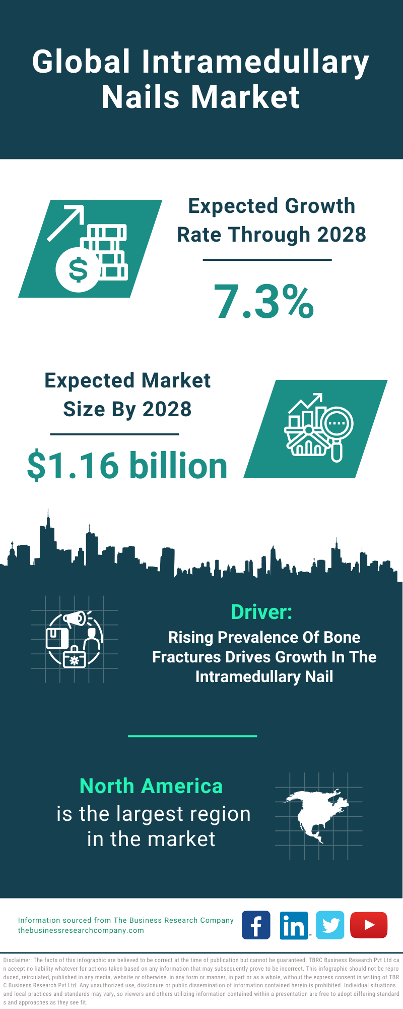 Global Intramedullary Nails Market Infographic