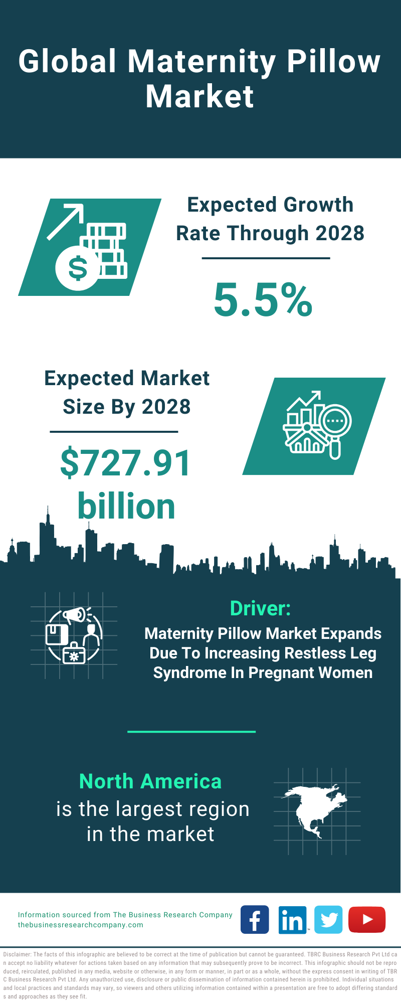 Global Maternity Pillow Market Infographic