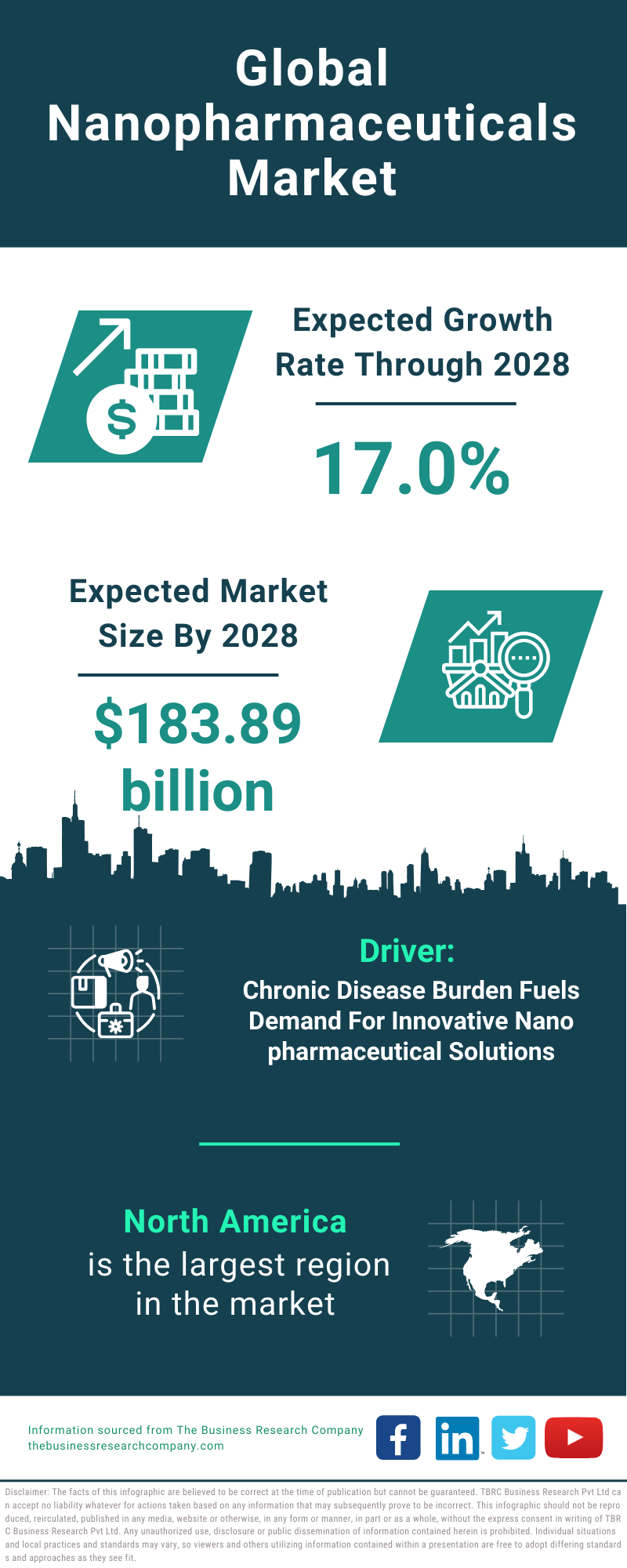 Global Nanopharmaceuticals Market Infographic