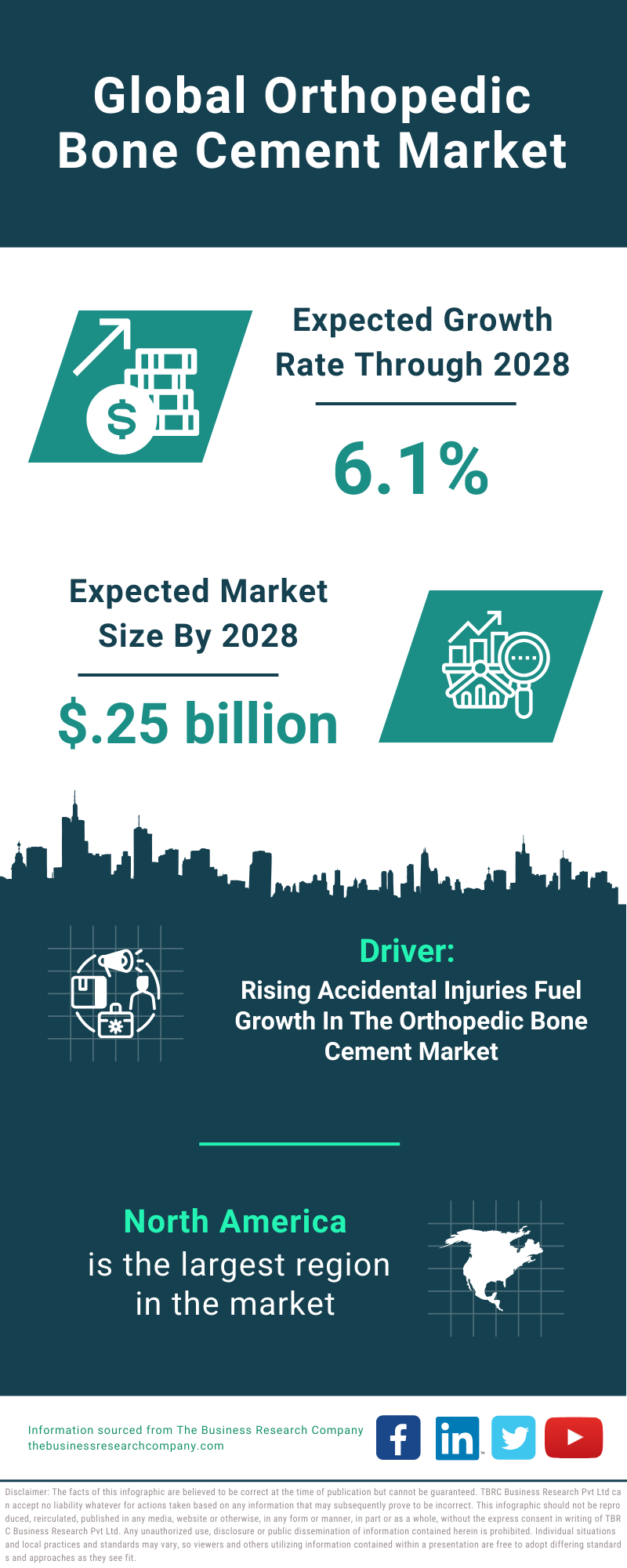 Global Orthopedic Bone Cement Market Infographic