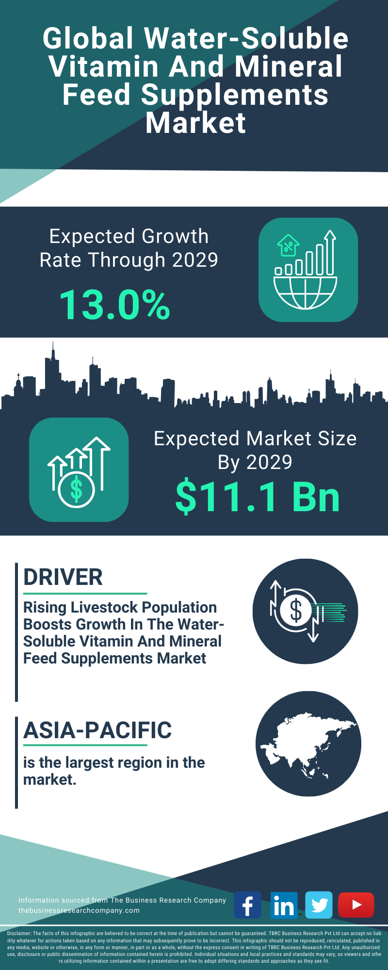 Water-Soluble Vitamin And Mineral Feed Supplements Global Market Report 2025