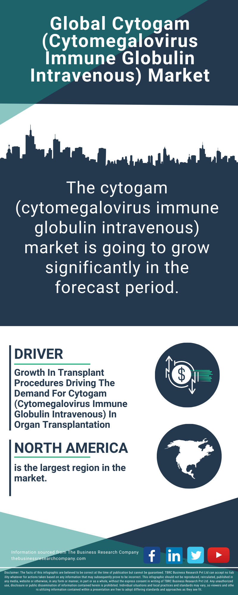 Cytogam (Cytomegalovirus Immune Globulin Intravenous) Global Market Report 2025