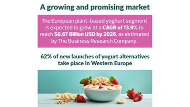 Blendhub highlights innovations in plant-based yogurts, projecting $6.67B market growth by 2026 using data from The Business Research Company.