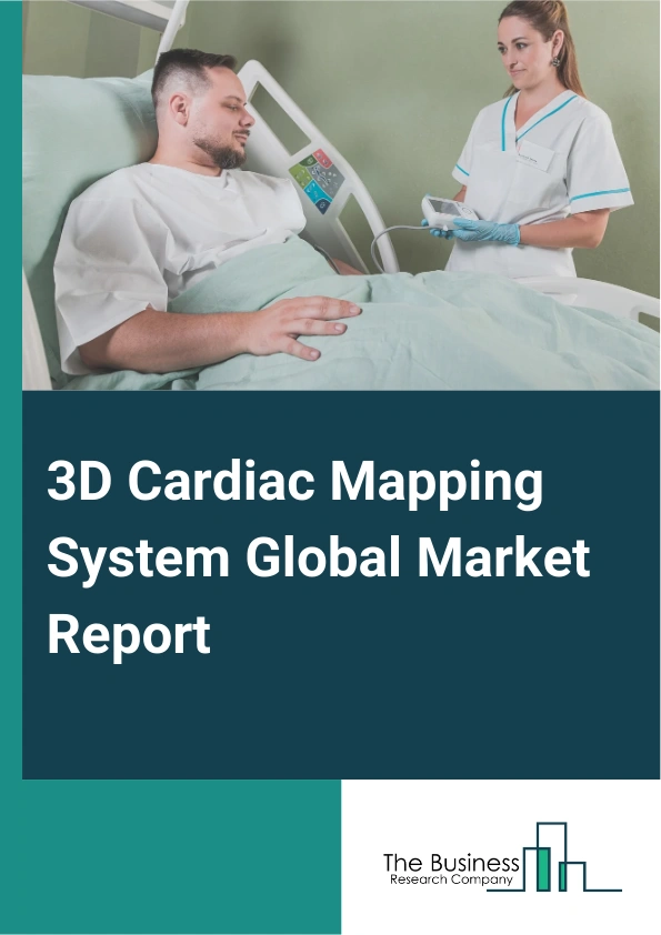 3D Cardiac Mapping System