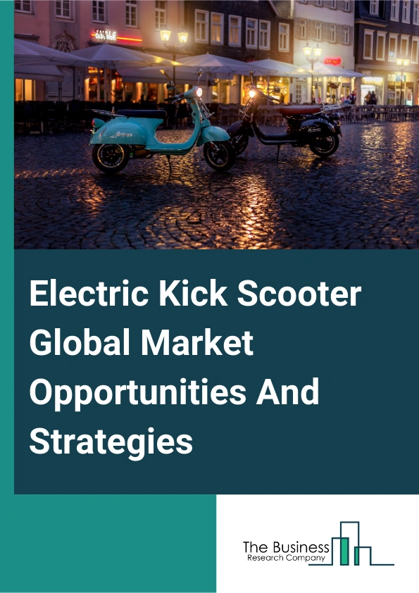 Electric Kick Scooter