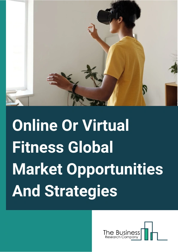 Online Or Virtual Fitness