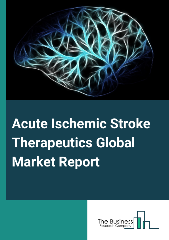 Acute Ischemic Stroke Therapeutics