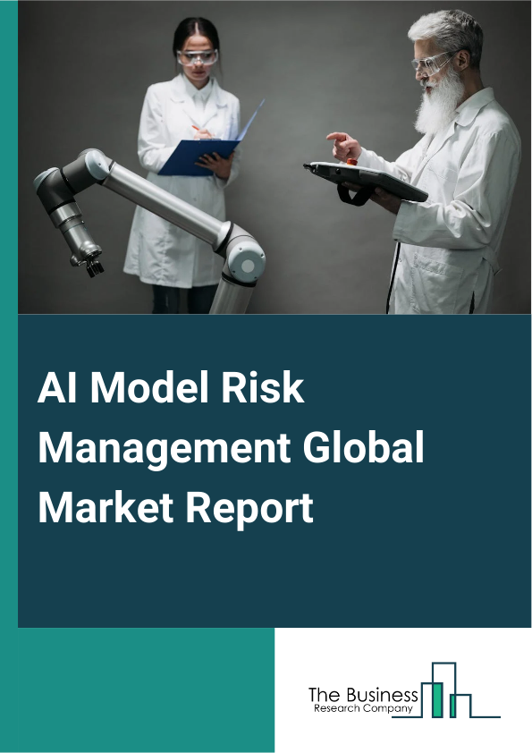 AI Model Risk Management