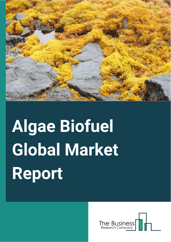 Algae Biofuel