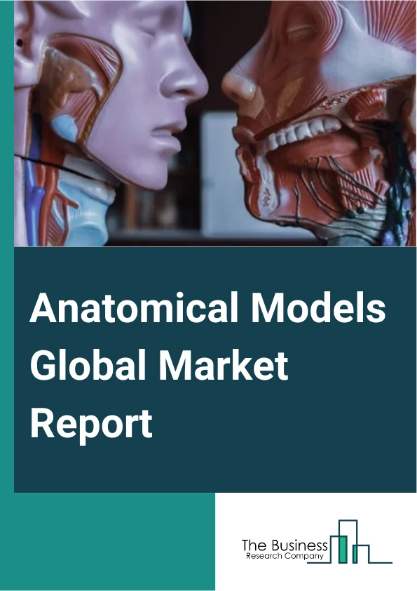 Anatomical Models