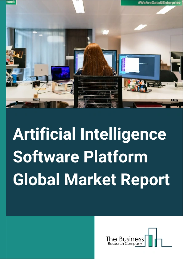 Artificial Intelligence Software Platform