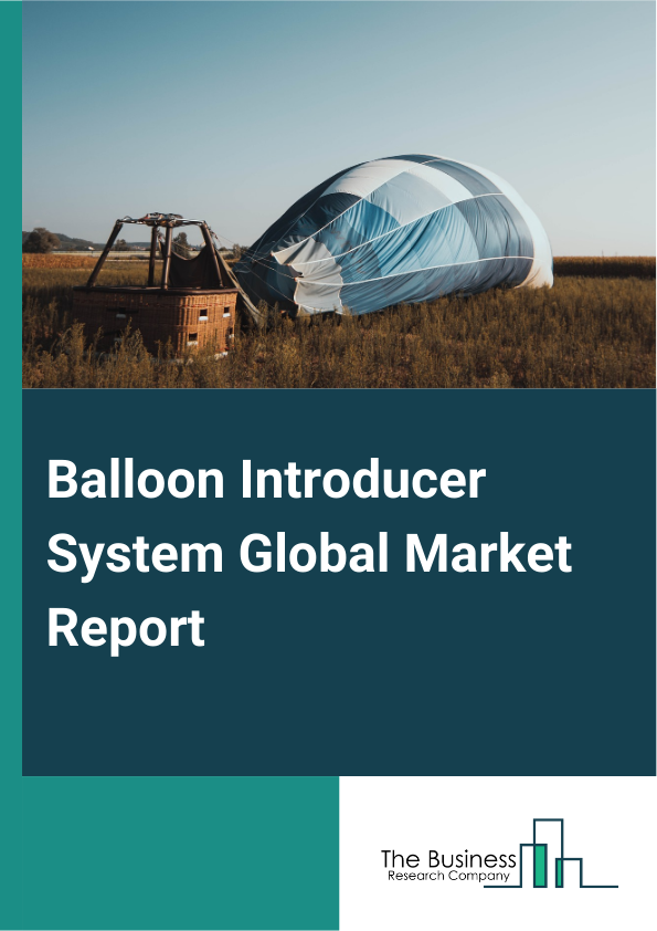 Balloon Introducer System