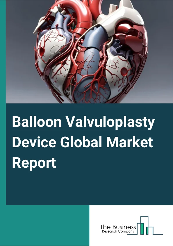 Balloon Valvuloplasty Device