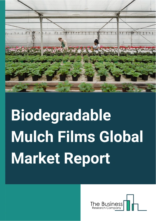 Biodegradable Mulch Films Global Market Report 2024 – By Biodegradable Plastic (Thermoplastic Starch (TPS), Aliphatic-Aromatic Copolyesters (AAC), Controlled Degradation Masterbatches), By Composition (Starch, Starch Blended With Polylactic Acid (PLA), Starch Blended With Polyhydroxyalkanoate (PHA)), By End-Use Industry (Horticulture, Agriculture) – Market Size, Trends, And Global Forecast 2024-2033