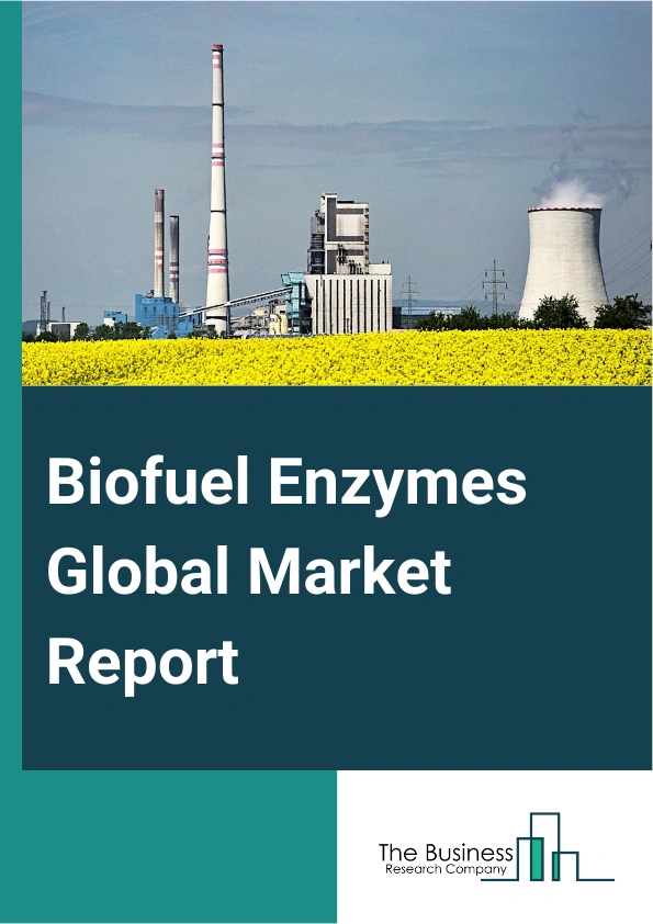 Biofuel Enzymes Global Market Report 2024 – By Type (Amylases, Cellulases, Proteases, Lipases, Other Types), By Source (Microorganisms, Plants, Animals), By Reaction Type (Hydrolase, Lyase, Other Reactions Types), By Application (Biodiesel, Starch-Based Ethanol, Sugar-Based Ethanol, Other Applications) – Market Size, Trends, And Global Forecast 2024-2033