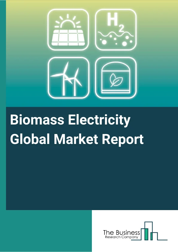 Biomass Electricity Global Market Report 2024 – By Feedstock (Solid Biomass, Biogas, Municipal Solid Waste, Liquid Biomass), By Technology (Anaerobic Digestion, Combustion, Co-Firing, Gasification, Landfill Gas), By End-User (Households, Industrial Sector, Government Sector, Other End Users) – Market Size, Trends, And Global Forecast 2024-2033