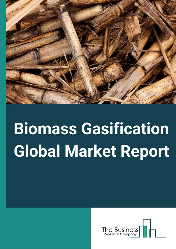Biomass Gasification Global Market Report 2024 – By Gasifier Type (Moving/Fixed Bed, Fluidized Bed, Entrained And Other Gasifier Types), By Source (Solid Biomass, Biogas, Municipal Waste, Liquid Biomass), By Application (Chemicals, Liquid Fuels, Power, Gas Fuels) – Market Size, Trends, And Global Forecast 2024-2033