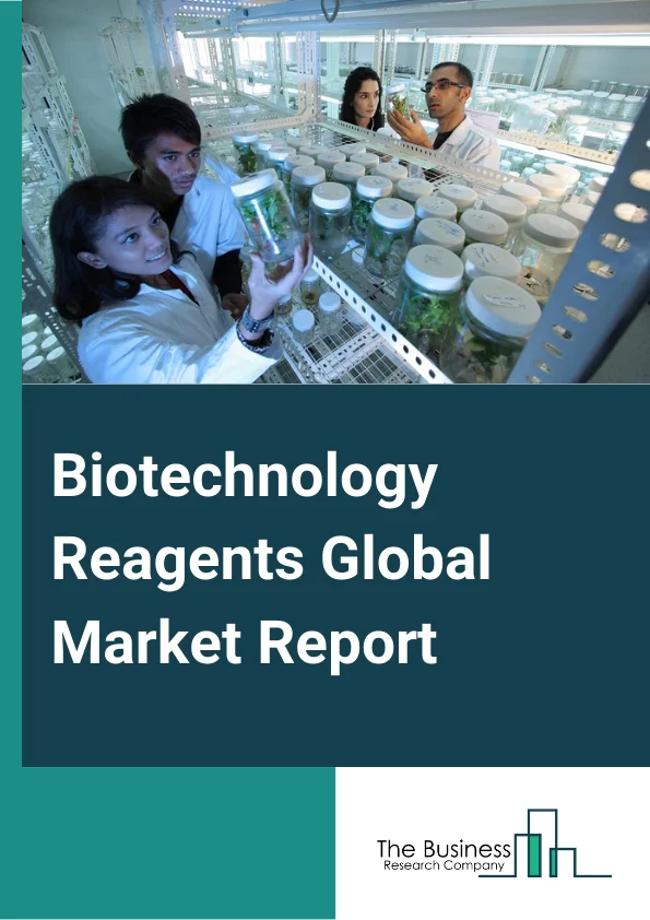 Biotechnology Reagents Global Market Report 2024 – By Type (Life Science Reagents, Analytical Reagents, Other Reagents), By Applications (Protein synthesis and purification, Gene expression, DNA and RNA analysis, Drug testing), By End-Users (Biotech companies, Research institutes, Pharmaceuticals, Diagnostic centers, Academic Institute, Other End-Users) – Market Size, Trends, And Global Forecast 2024-2033