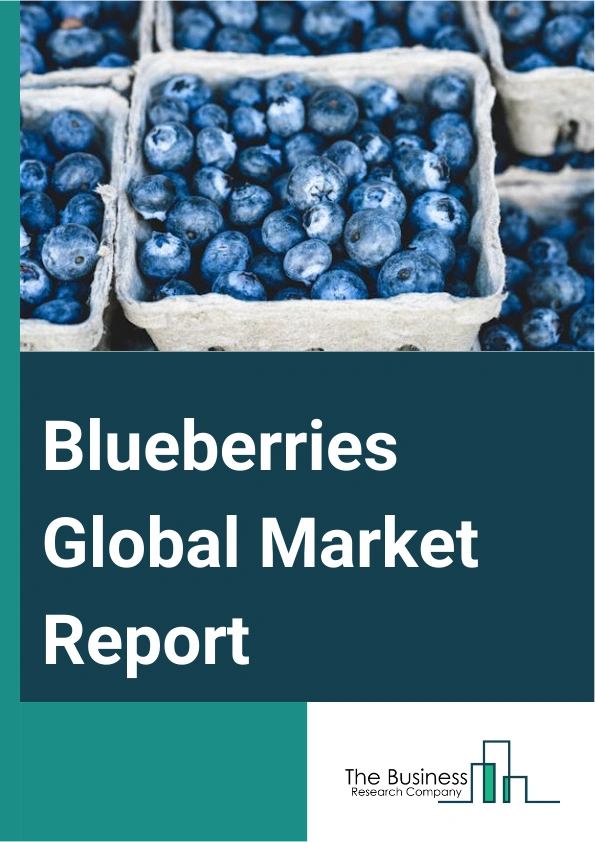 Blueberries Market Insights: Trends & Forecasts 2033