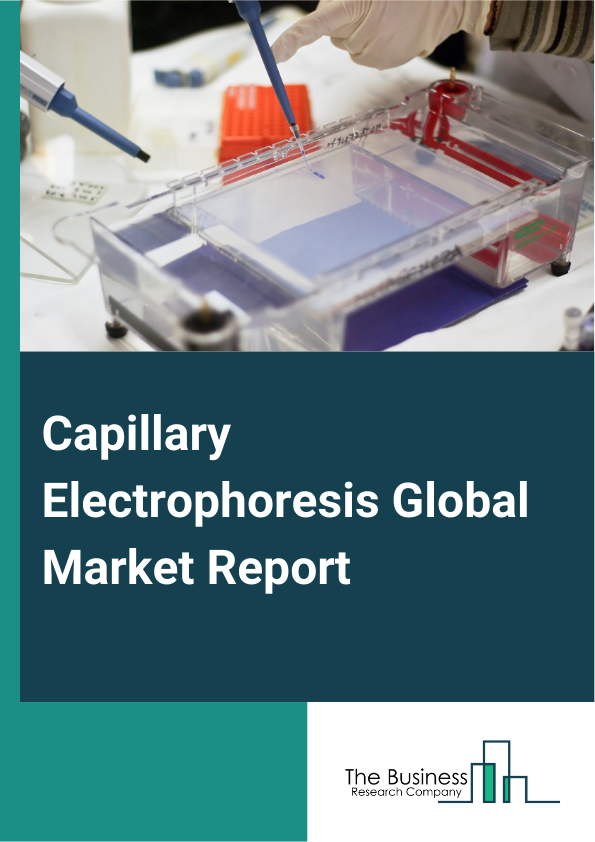 Capillary Electrophoresis