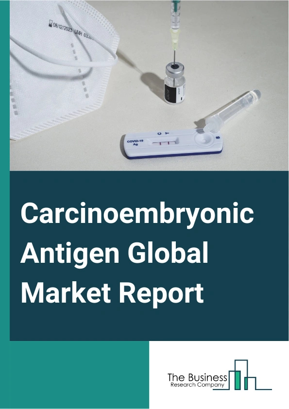 Carcinoembryonic Antigen Global Market Report 2024 – By Test Type (Molecular Tests, Serology Tests), By Gender (Male, Female), By Application (Gastrointestinal Cancer, Colorectal Cancer, Pancreatic Cancer, Breast Cancer, Lung Cancer, Thyroid Cancer, Ovarian Cancer, Other Applications), By End User (Hospitals, Diagnostic Centers, Cancer Centers, Research And Academic Institutes) – Market Size, Trends, And Global Forecast 2024-2033