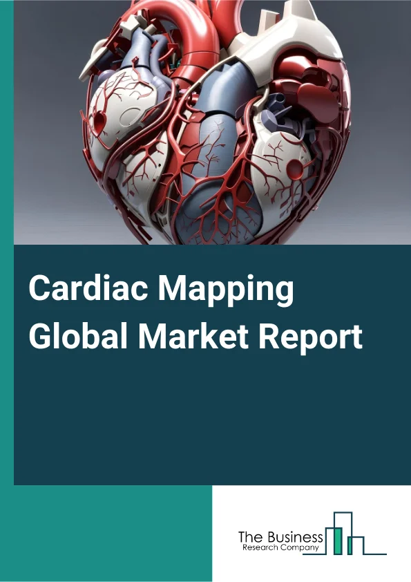 Cardiac Mapping Global Market Report 2024 – By Type (Contact Cardiac Mapping Systems, Non-Contact Cardiac Mapping Systems), By Indications (Atrial Fibrillation, Atrial Flutter, Atrioventricular Nodal Reentrant Tachycardia (AVNRT), Other Indications), By End-User (Hospitals And Clinics, Diagnostic Centers, Other End-Users) – Market Size, Trends, And Global Forecast 2024-2033