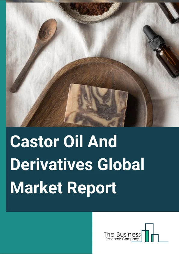 Castor Oil And Derivatives Global Market Report 2024 – By Product (12-HAS, Dehydrated Castor Oil, Hydrogenated Castor Oil, Ricinoleic Acid, Sebacic Acid, Undecylenic Acid), By Grade (Pale Pressed Grade, First Special Grade (FSG), Commercial Grade, First Pressed Degummed Grade Castor Oil, British Pharma Grade (BPG), Other Grades), By Application (Lubricants, Cosmetics and Pharmaceuticals, Biodiesel, Plastics and Resins, Other Applications), By End-Use Industry (Healthcare, Cosmetics And Personal Care, Food Industry, Aerospace And Defense, Automotive, Electrical And Electronics, Other End-Use Industries) – Market Size, Trends, And Global Forecast 2024-2033