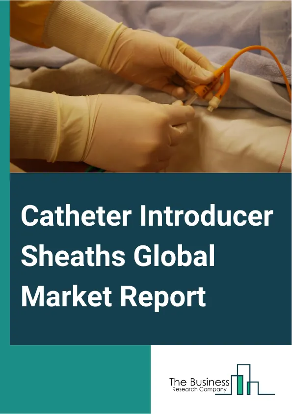 Catheter Introducer Sheaths