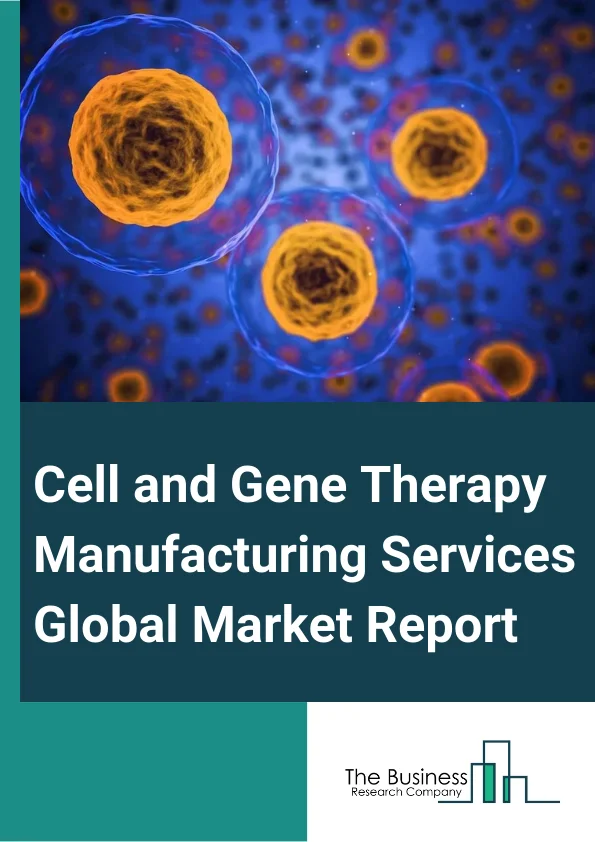 Cell and Gene Therapy Manufacturing Services