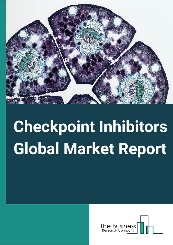 Checkpoint Inhibitors Global Market Report 2023 – By Drug (PD-1 Inhibitors, PD-L1 Inhibitors, CTLA-4, Chimeric Antigen Receptor T-cell, Other Drugs), By Application (Lung Cancer, Renal Cancer, Blood Cancer, Bladder Cancer, Melanoma, Other Applications), By End-Users (Hospitals Pharmacies, Retail Pharmacies, Online Pharmacies) – Market Size, Trends, And Global Forecast 2023-2032