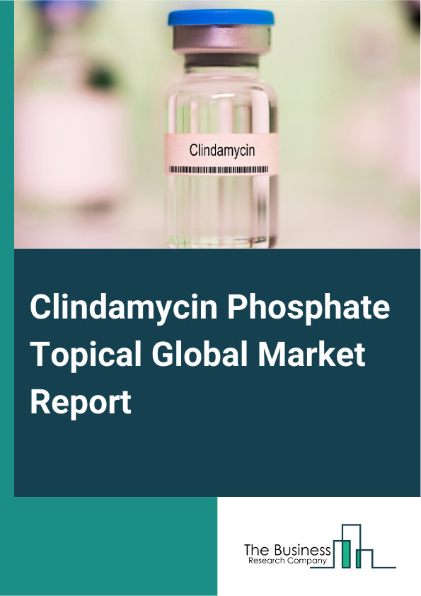 Clindamycin Phosphate Topical Global Market Report 2024 – By Formulation Type (Gel, Lotion, Solution, Foam, Cream ), By Packaging Type (Tube, Bottle, Pump, Canister ), By Application (Men, Women ), By End User (Hospitals, Dermatology Clinics, Home Care Settings, Other End-Users) – Market Size, Trends, And Global Forecast 2024-2033