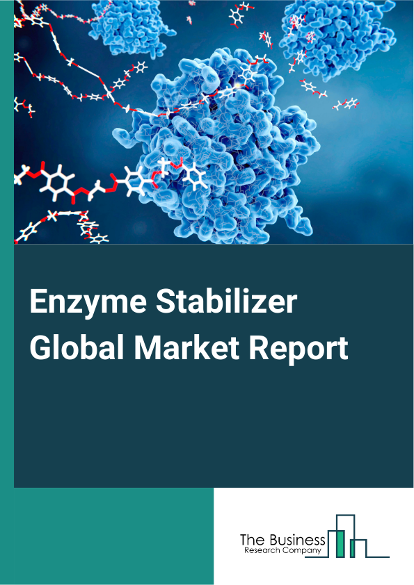 Enzyme Stabilizer Global Market Report 2024 – By Type (Enzyme Protectors, Enzyme Inhibitors, Enzyme Activators), By Mechanism (Covalent Bond Formation, Non Covalent Complex Formation, Encapsulation), By Target (Amylases, Proteases, Lipases, Lactases), By Application (Enzyme Production, Enzyme Laundry Treatment, Enzyme Detergents, Food Industry), By End Use (Food Processing, Animal Nutrition, Pharmaceuticals, Cleaning Agents (Detergents), Chemical (Silk And Leather)) – Market Size, Trends, And Global Forecast 2024-2033