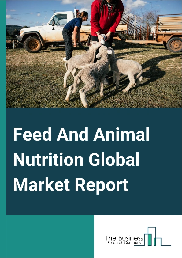 Feed And Animal Nutrition Global Market Report 2024 – By Product Type (Amino Acids, Vitamins, Minerals, Enzymes, Fish Oils And Nutrition Lipids, Eubiotics, Carotenoids, Other Product Types), By Species (Poultry, Swine, Ruminants, Pets, Other Species), By Administrative Method (Oral, Topical, Injection), By Application (Veterinarians, Animal Feed Manufacturers, Households, Farms, Other Applications) – Market Size, Trends, And Global Forecast 2024-2033