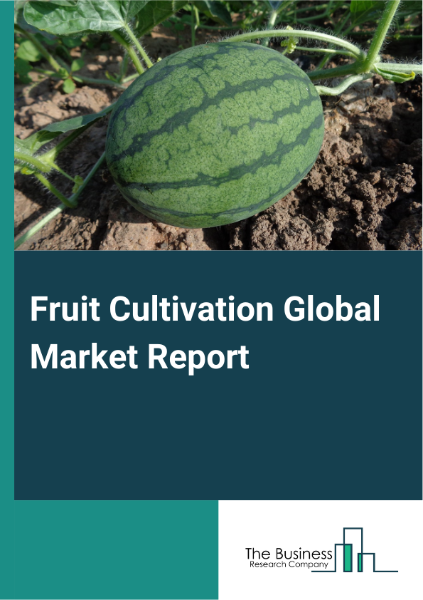 Fruit Cultivation Global Market Report 2024 – By Product Type (Apples And Pears, Bananas, Berries And Grapes, Citrus Fruits, Watermelon And Melon, Mangoes And Guava, Other Product Types), By Cultivation Methods (Square Layout Method, Rectangle Layout Method, Equilateral Triangular Layout Method, Hexagonal Method, Symmetrical Line Layout Method, Intensive Planting Method, Other Cultivation Methods), By Application (Commercial, Household) – Market Size, Trends, And Global Forecast 2024-2033