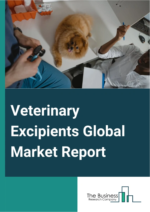 Veterinary Excipients Global Market Report 2024 – By Chemical Group (Polymers, Alcohols, Lipids, Mineral Salts, Other Chemical Groups), By Animal Type (Companion Animals, Production Animals), By Functionality (Fillers, Binders, Disintegrants, Glidants, Lubricants, Bulking Agents, Buffering Agents, Tonicity Adjusting Agents, Preservatives, Other Functionalities), By Application (Biologics, Pharmaceuticals, Medicated Feed Additives) – Market Size, Trends, And Global Forecast 2024-2033