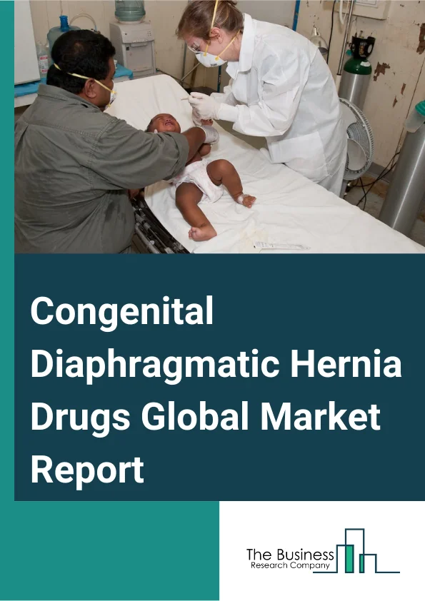 Congenital Diaphragmatic Hernia Drugs Global Market Report 2024 – By Type (Posterolateral Bochdalek Hernia, Anterior Morgagni Hernia, Hiatal Hernia), By Treatment (Extracorporeal Membrane Oxygenation, Other Treatments), By Diagnosis (Prenatal, Postnatal), By End-User (Hospitals, Homecare, Specialty Clinics, Other End Users) – Market Size, Trends, And Global Forecast 2024-2033