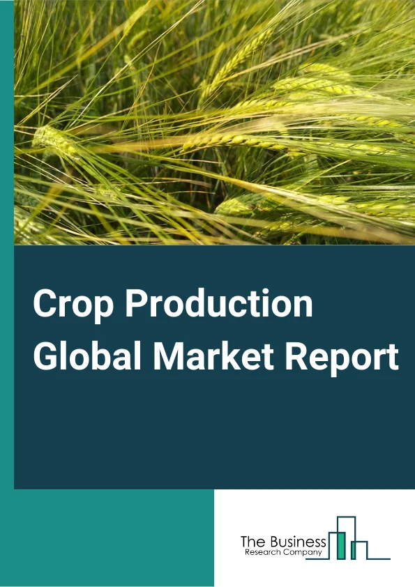 Crop Production Global Market Report 2024 – By Type (Grain Farming, Oilseed Farming, Fruit And Nut Farming, Vegetable Farming, General Crop Farming, Greenhouse, Nursery, And Flowers), By Farming Process (Organic Farming, Traditional Farming), By Application (Food And Beverages, Fodder) – Market Size, Trends, And Global Forecast 2024-2033