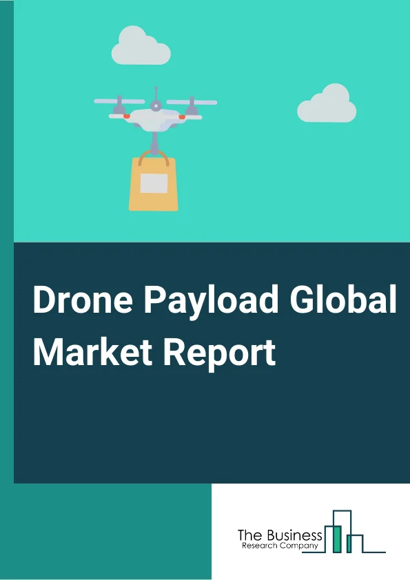 Drone Payload