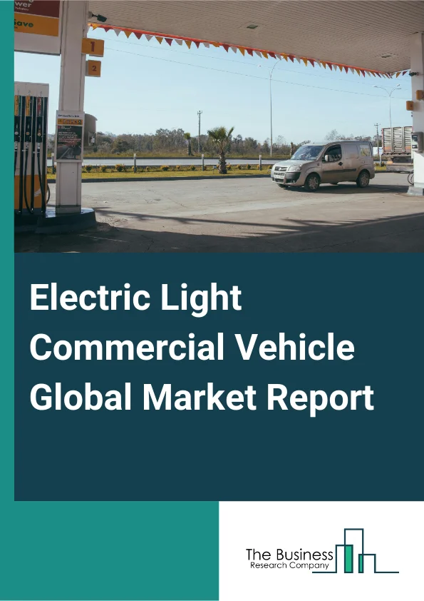 Electric Light Commercial Vehicle