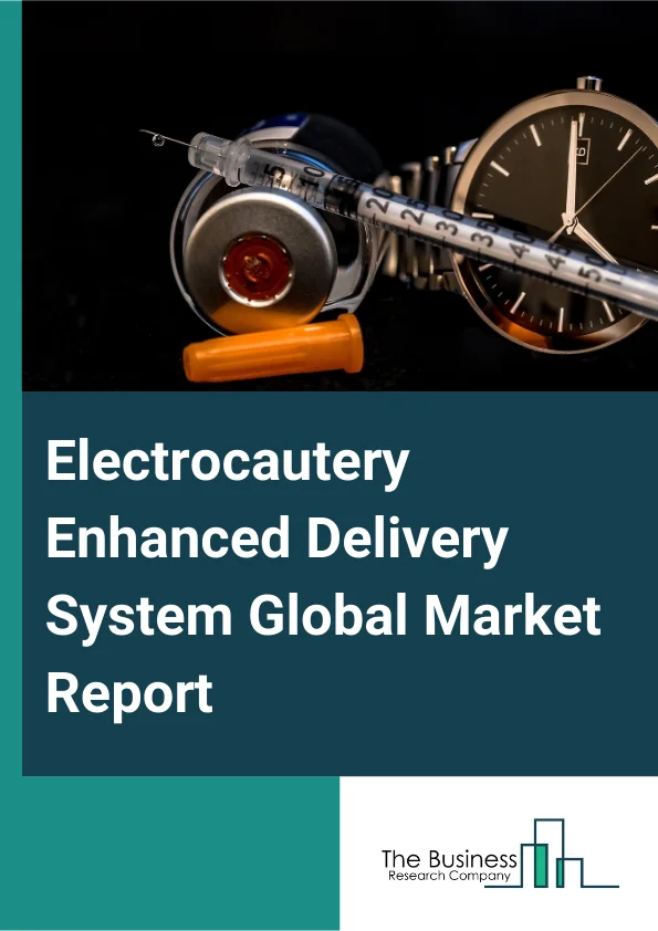 Electrocautery Enhanced Delivery System