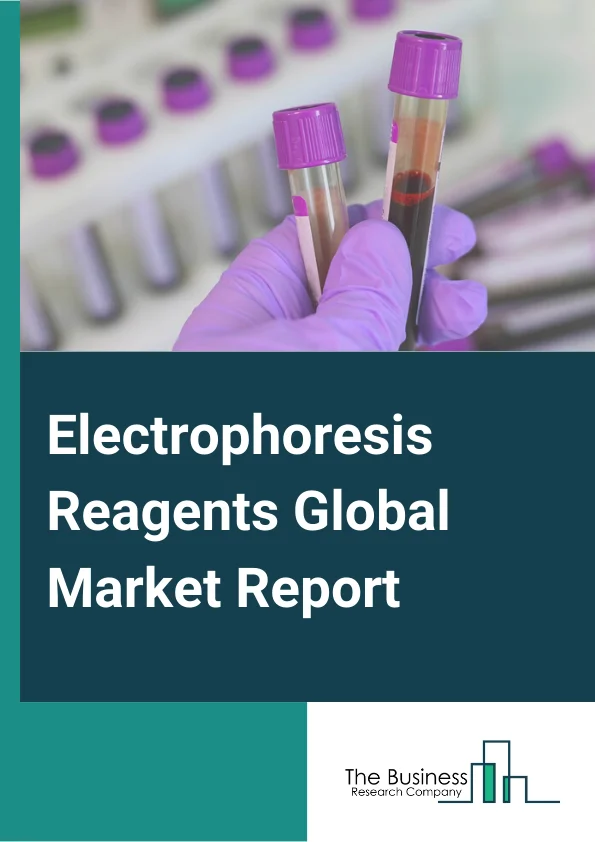 Electrophoresis Reagents Global Market Report 2024 – By Product( Gels (Polyacrylamide, Starch, and Agarose), Buffer (TAE Buffer, TBE Buffer, and Other Buffers), Dyes (ETBR, SYBR, Bromophenol Blue and Others), Other Reagents), By Technique( Capillary Electrophoresis, Gel Electrophoresis), By Application( DNA and RNA Analysis, Protein Analysis), By End-User( Pharmaceutical and Biotechnology Companies, Hospitals and Diagnostic Laboratories, Academic and Research Institutions, Others End Users) – Market Size, Trends, And Global Forecast 2024-2033