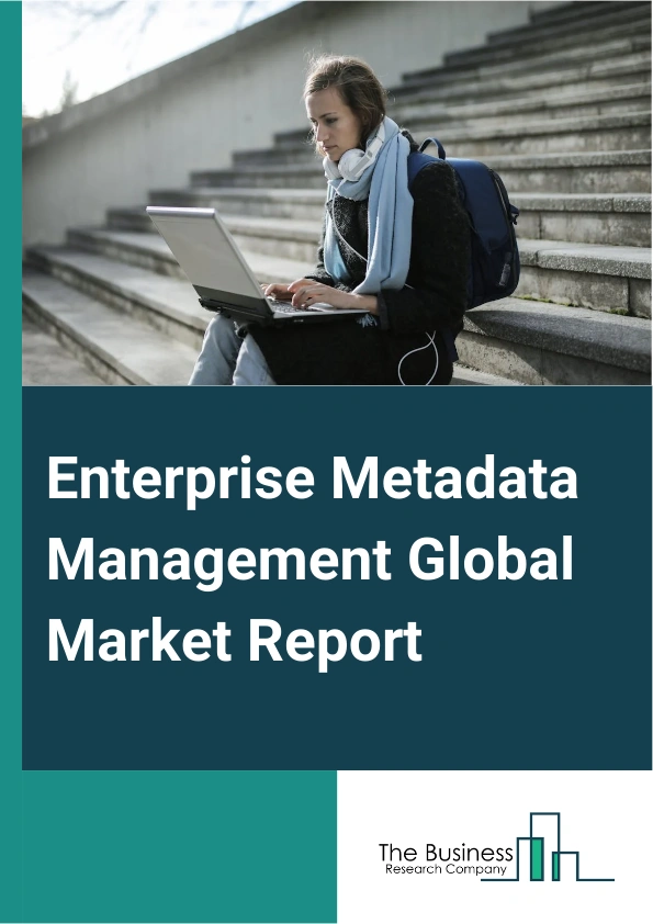 Enterprise Metadata Management