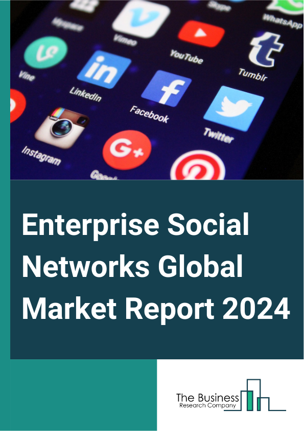 Enterprise Social Networks