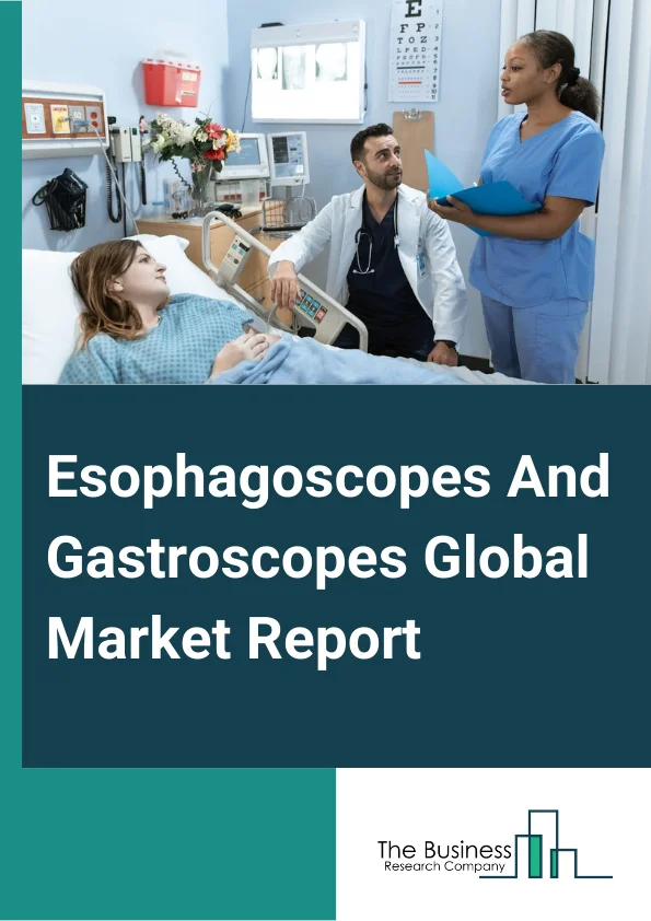 Esophagoscopes And Gastroscopes Global Market Report 2024 – By Type (Rigid, Flexible, Transnasal, Other Types), By Application (Gastroesophageal Reflux Disease, Ulcers, Barrett's Esophagus, Celiac Disease, Other Applications), By End User (Hospitals, Ambulatory Surgical Centers, Specialty Clinics, Diagnostic Centers, Other End Users) – Market Size, Trends, And Global Forecast 2024-2033
