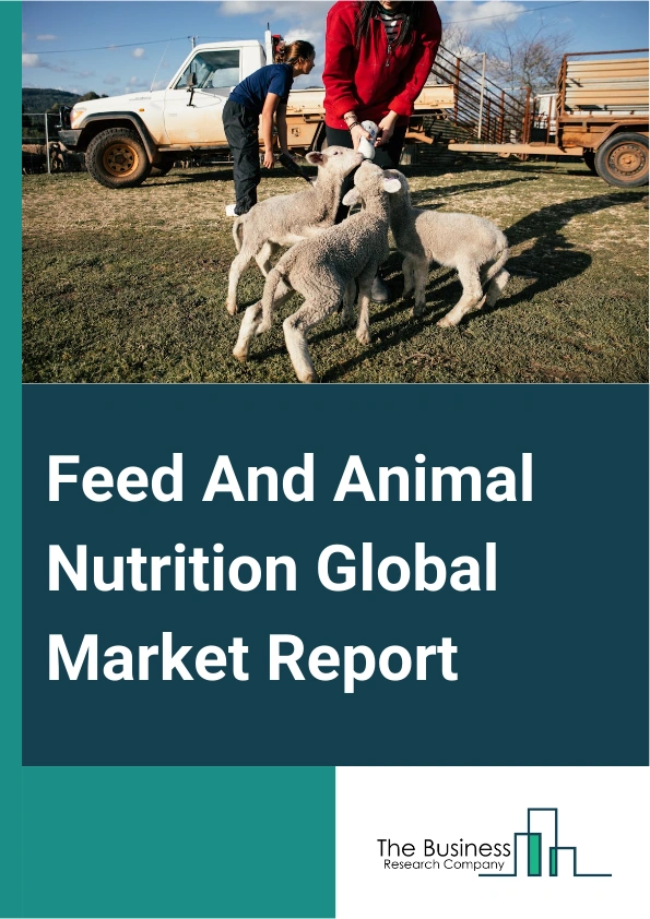 Feed And Animal Nutrition