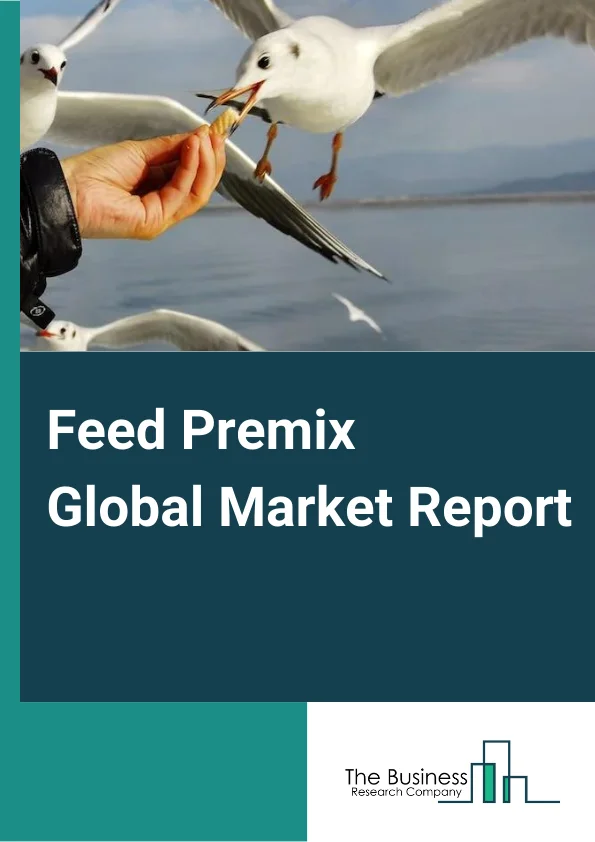 Feed Premix Global Market Report 2024 – By Type (Amino Acids, Antioxidants, Antibiotics, Vitamins, Minerals, Other Types), By Form (Dry, Liquid), By Livestock (Ruminants, Swine, Aquatic Animals, Poultry, Pets) – Market Size, Trends, And Global Forecast 2024-2033