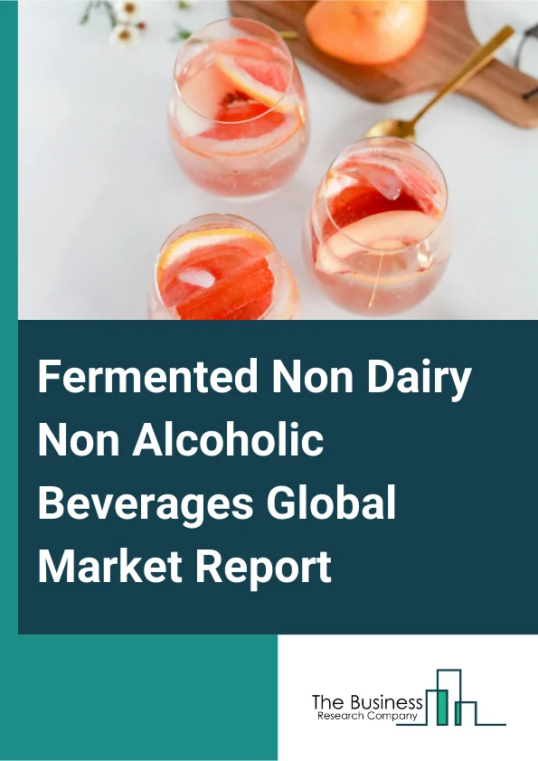 Fermented Non Dairy Non Alcoholic Beverages