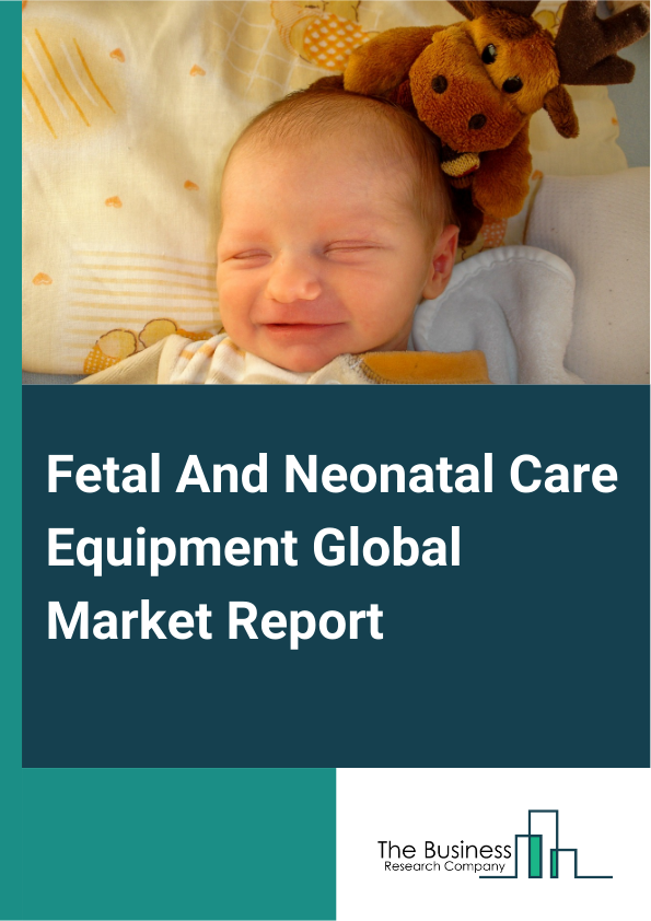 Fetal And Neonatal Care Equipment